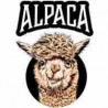 Alpaca